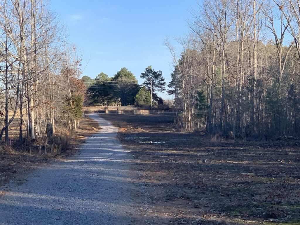 Property photo for land for sale in Lewis County Tennessee