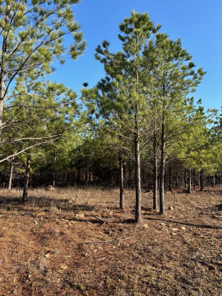Property photo for land for sale in Pushmataha County Oklahoma