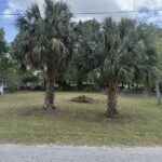 Property photo for land for sale in Gilchrist County Florida