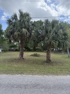 Property photo for land for sale in Gilchrist County Florida
