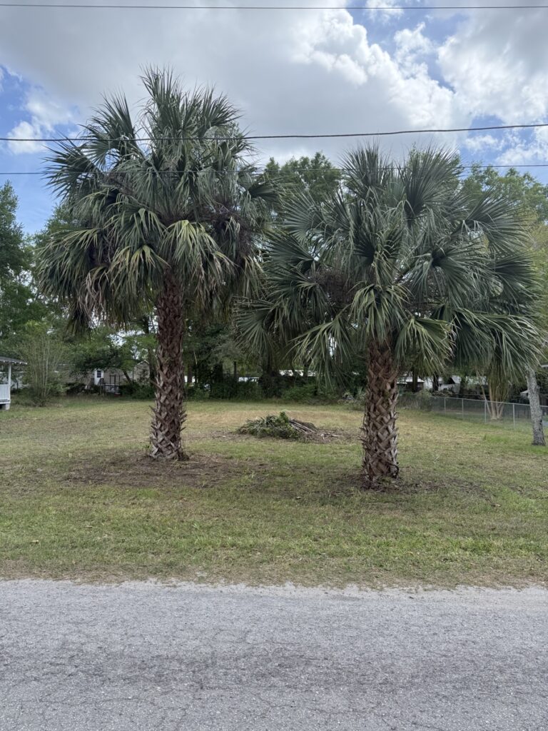 Property photo for land for sale in Gilchrist County Florida