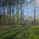 Property photo for land for sale in Patrick County Virginia