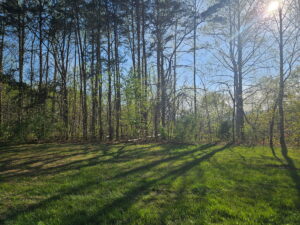 Property photo for land for sale in Patrick County Virginia