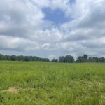 Property photo for land for sale in Lawrence County Tennessee