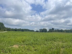 Property photo for land for sale in Lawrence County Tennessee