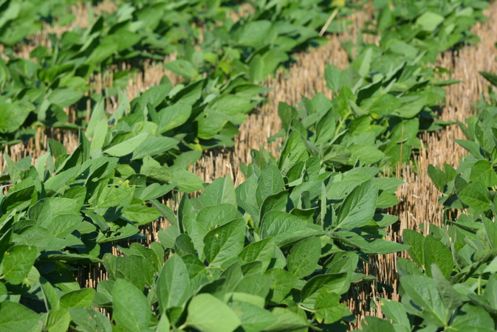 Property photo for land for sale in Osage County Kansas