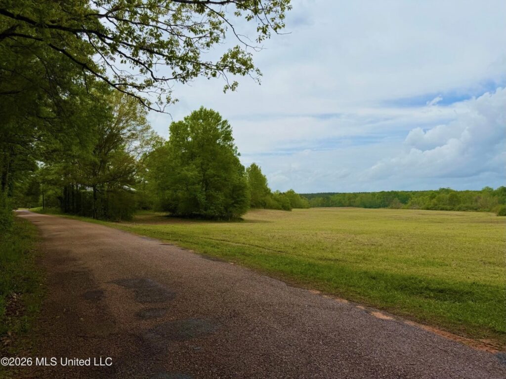 Property photo for land for sale in Lincoln County Mississippi