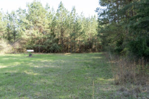 Property photo for land for sale in Jackson County Louisiana