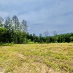 Property photo for land for sale in Lewis County Tennessee