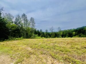 Property photo for land for sale in Lewis County Tennessee