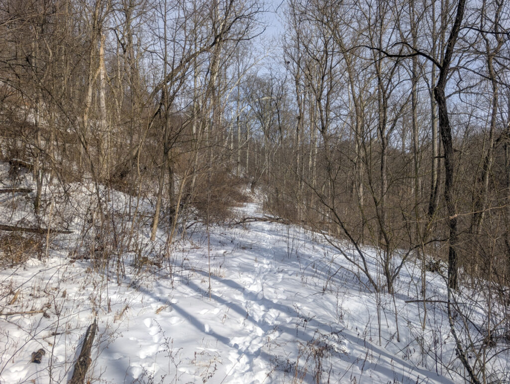 Property photo for land for sale in Monroe County Ohio