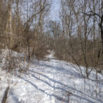 Property photo for land for sale in Monroe County Ohio