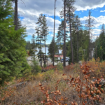 Property photo for land for sale in Pend Oreille County Washington
