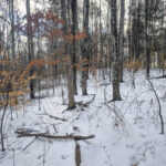 Property photo for land for sale in Noble County Ohio