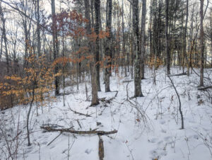Property photo for land for sale in Noble County Ohio