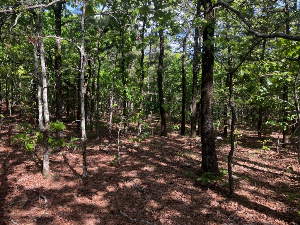 Property photo for land for sale in Le Flore County Oklahoma
