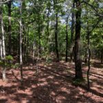 Property photo for land for sale in Le Flore County Oklahoma