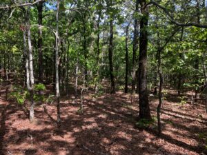 Property photo for land for sale in Le Flore County Oklahoma