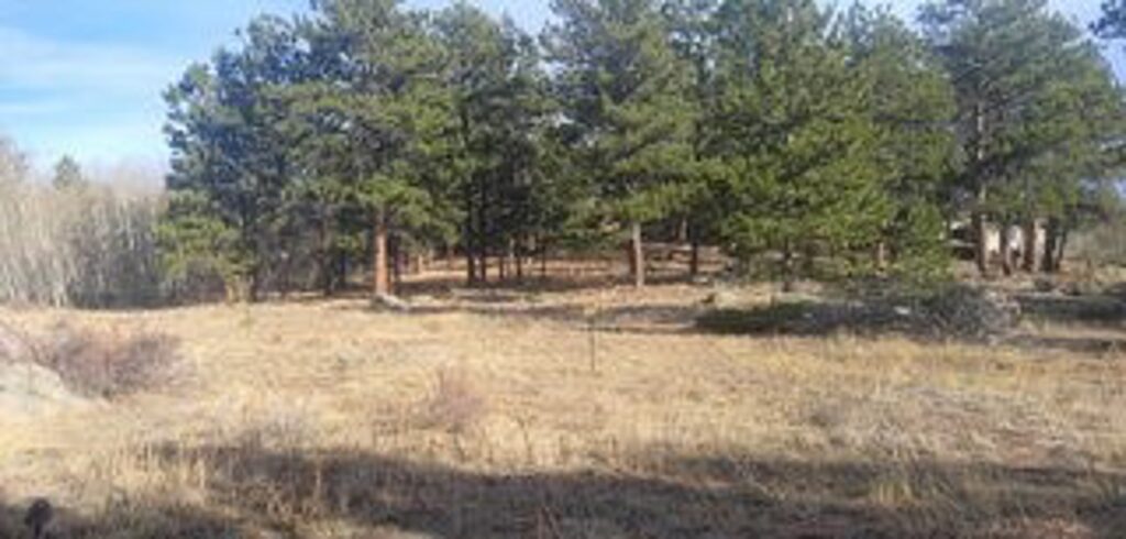 Property photo for land for sale in Larimer County Colorado