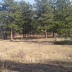 Property photo for land for sale in Larimer County Colorado