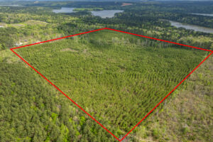 Property photo for land for sale in Hot Spring County Arkansas