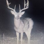 Property photo for land for sale in Pushmataha County Oklahoma