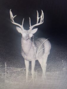 Property photo for land for sale in Pushmataha County Oklahoma