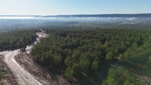 Property photo for land for sale in Pushmataha County Oklahoma