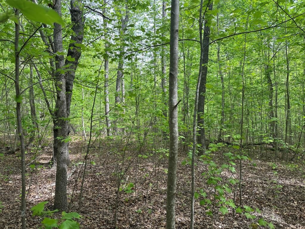 Property photo for land for sale in Mecklenburg County Virginia