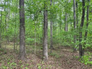 Property photo for land for sale in Mecklenburg County Virginia