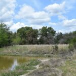 Property photo for land for sale in Robertson County Texas