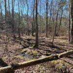 Property photo for land for sale in Sequatchie County Tennessee