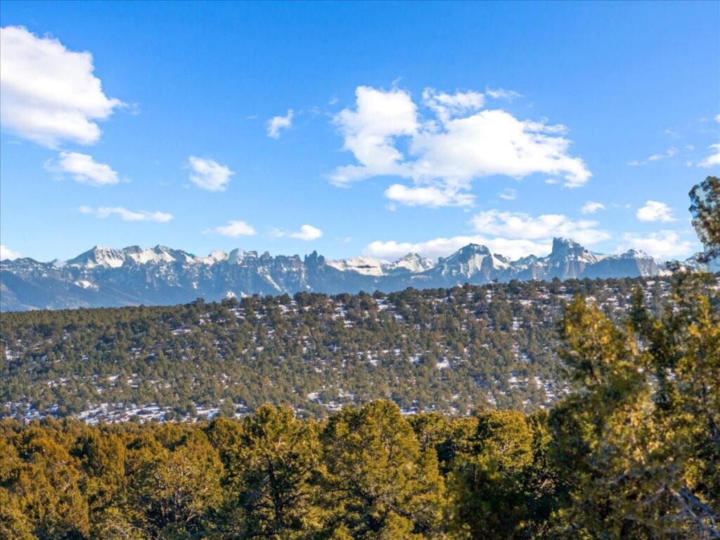 Property photo for land for sale in Ouray County Colorado