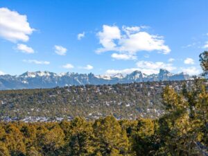 Property photo for land for sale in Ouray County Colorado