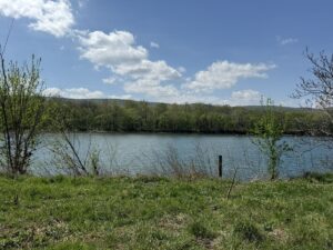 Property photo for land for sale in Independence County Arkansas