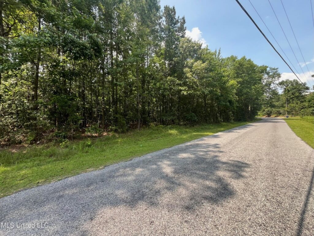 Property photo for land for sale in Jasper County Mississippi