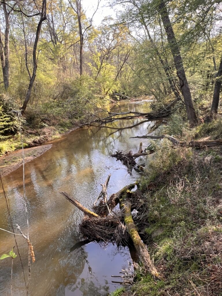 31f5bb47-18b3-408b-84ef-e40a875193de.jpg