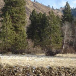 Property photo for land for sale in  County Washington