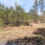 Property photo for land for sale in Larimer County Colorado