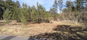 Property photo for land for sale in Larimer County Colorado