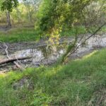 Property photo for land for sale in Live Oak County Texas