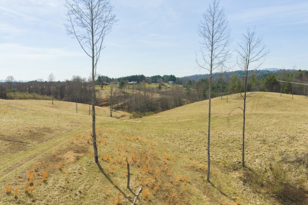 Property photo for land for sale in Grayson County Virginia
