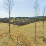 Property photo for land for sale in Grayson County Virginia