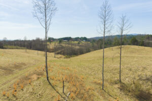 Property photo for land for sale in Grayson County Virginia