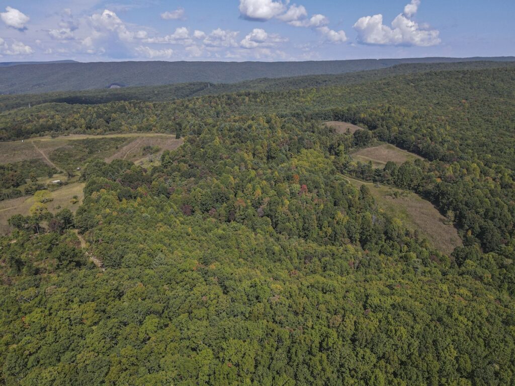Property photo for land for sale in Giles County Virginia