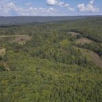 Property photo for land for sale in Giles County Virginia