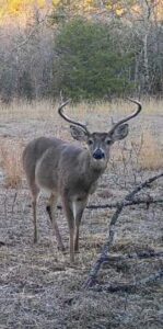 Property photo for land for sale in Pushmataha County Oklahoma