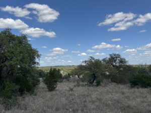 Property photo for land for sale in Blanco County Texas