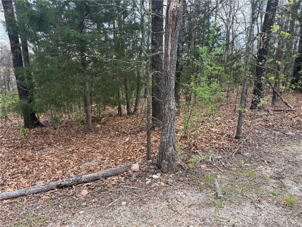 Property photo for land for sale in Taney County Missouri