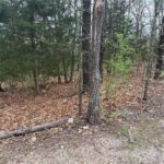 Property photo for land for sale in Taney County Missouri